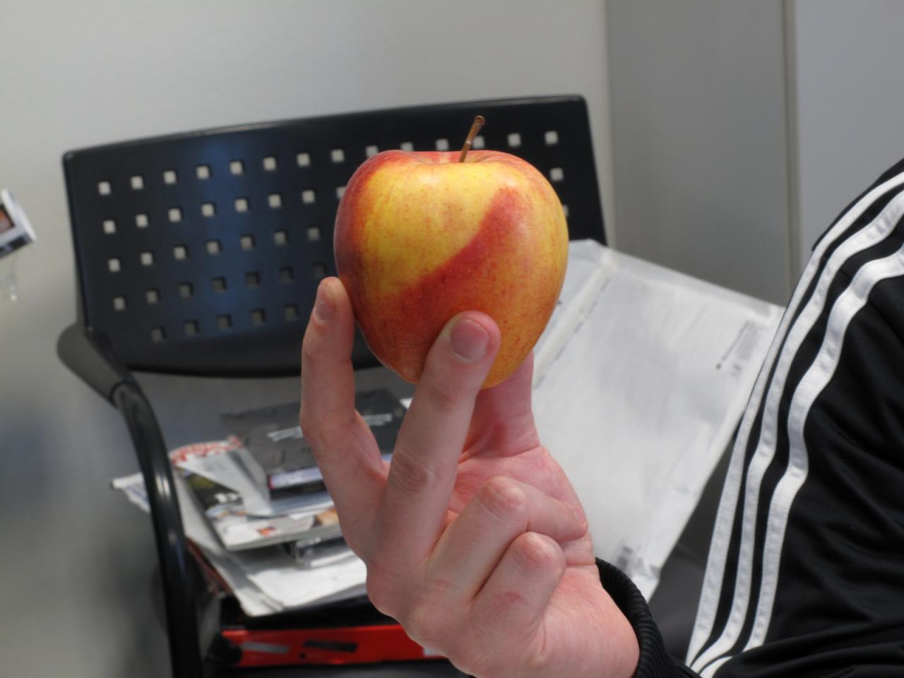 [16/12/2011] Um den Apfel der Erkenntnis handelt es sich in diesem Bild nicht, den hätte unser Chef Thilo wohl auch nicht mehr nötig. Vielleicht handelt es sich eher um eine geheime Medizin, denn wie spricht der Brite so schön 