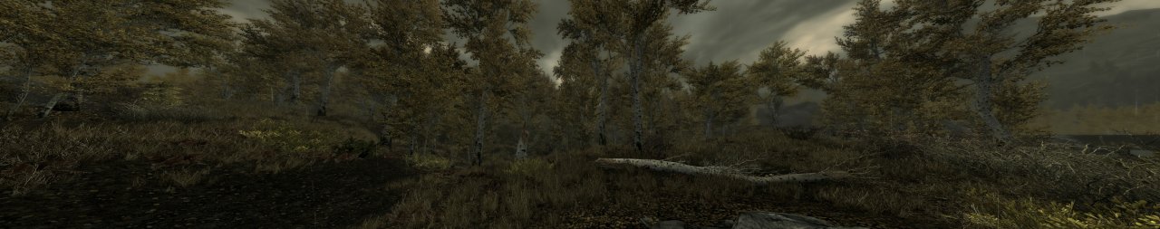 [22/12/2011] Skyrim in 5,292 x 1.050 euMelBeumel (16)