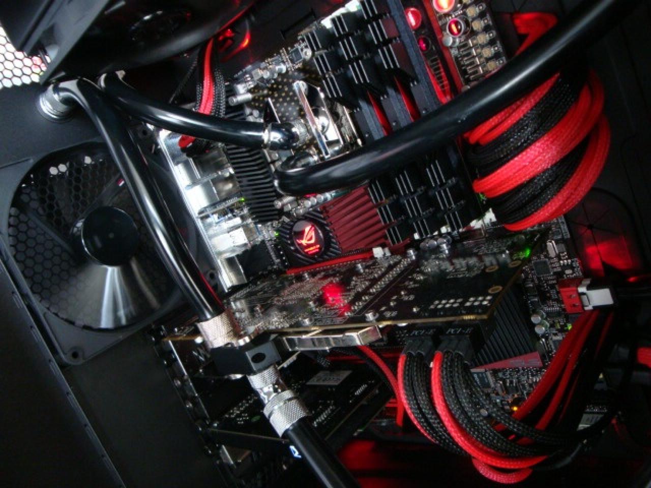 [20/12/2011] Neue Wakübilder aus der Community vom 20.12.2011 (76)