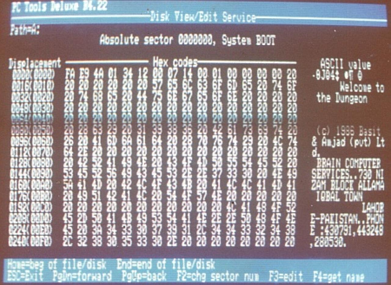 [18/01/2012] Bevor zwei pakistanische Brüder den (c) Brain in die Welt setzten, gab es keine MS-DOS-Schädlinge, die sich großzügig in freier Wildbahn von einem Medium auf das andere übertrugen. Wahre Niedertracht entfaltete (c) Brain jedenfalls nicht, sonst hätten die Entwickler wohl kaum ihre Kontaktdaten im Code eingebettet. Ausgebremste Floppy-Laufwerke dürfte dennoch auf wenig Gegenliebe gestoßen sein.