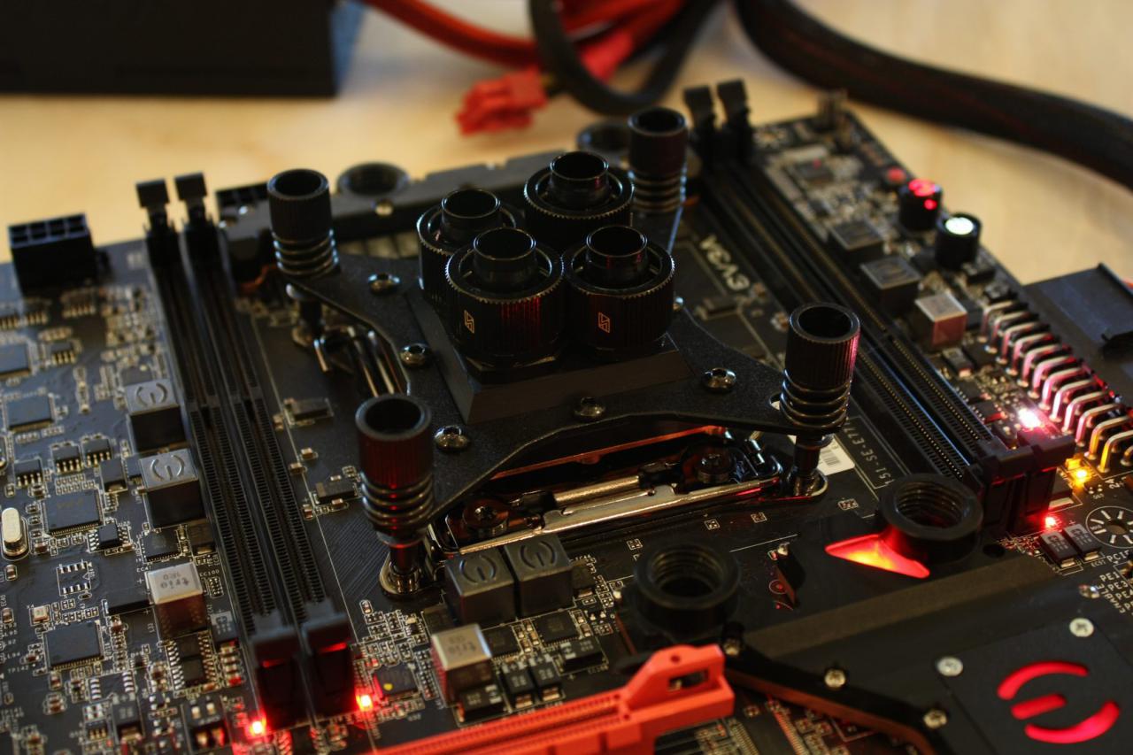 [13/01/2012] EVGA WC X79 FTW (2)
