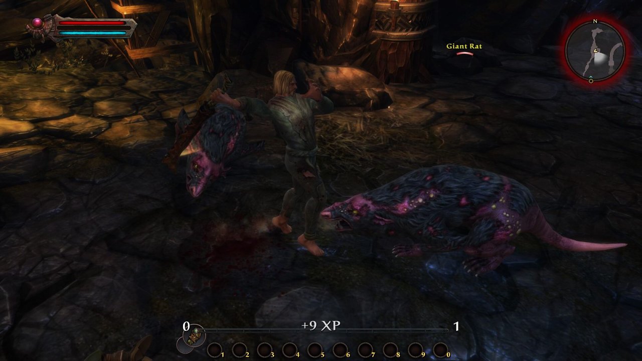 [18/01/2012] Kingdoms of Amalur: Reckoning: Impressionen aus der Demo mit maximaler Grafik (4)