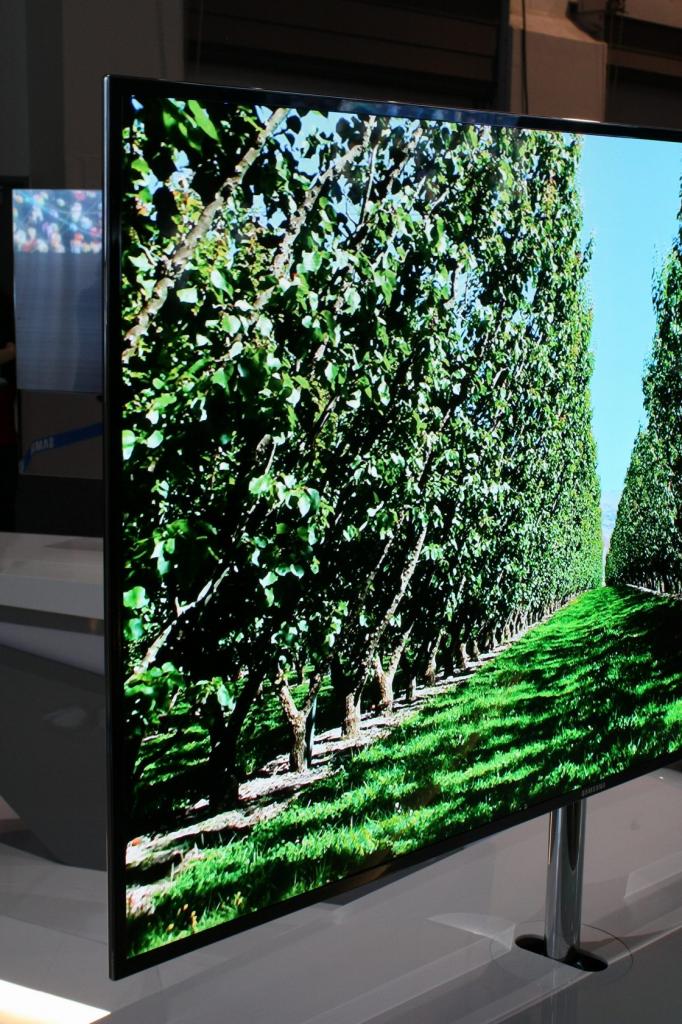 [17/01/2012] LG soll Führung in der Entwicklung und dem Vertrieb von OLED-Displays übernehmen (7)