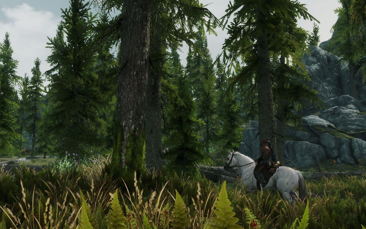 [15/01/2012] Skyrim by Gionight (12)
