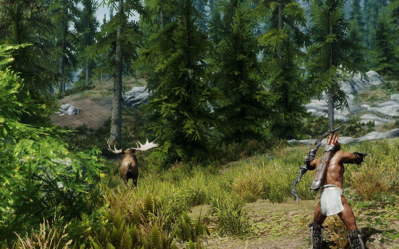 [15/01/2012] Skyrim by Gionight (13)