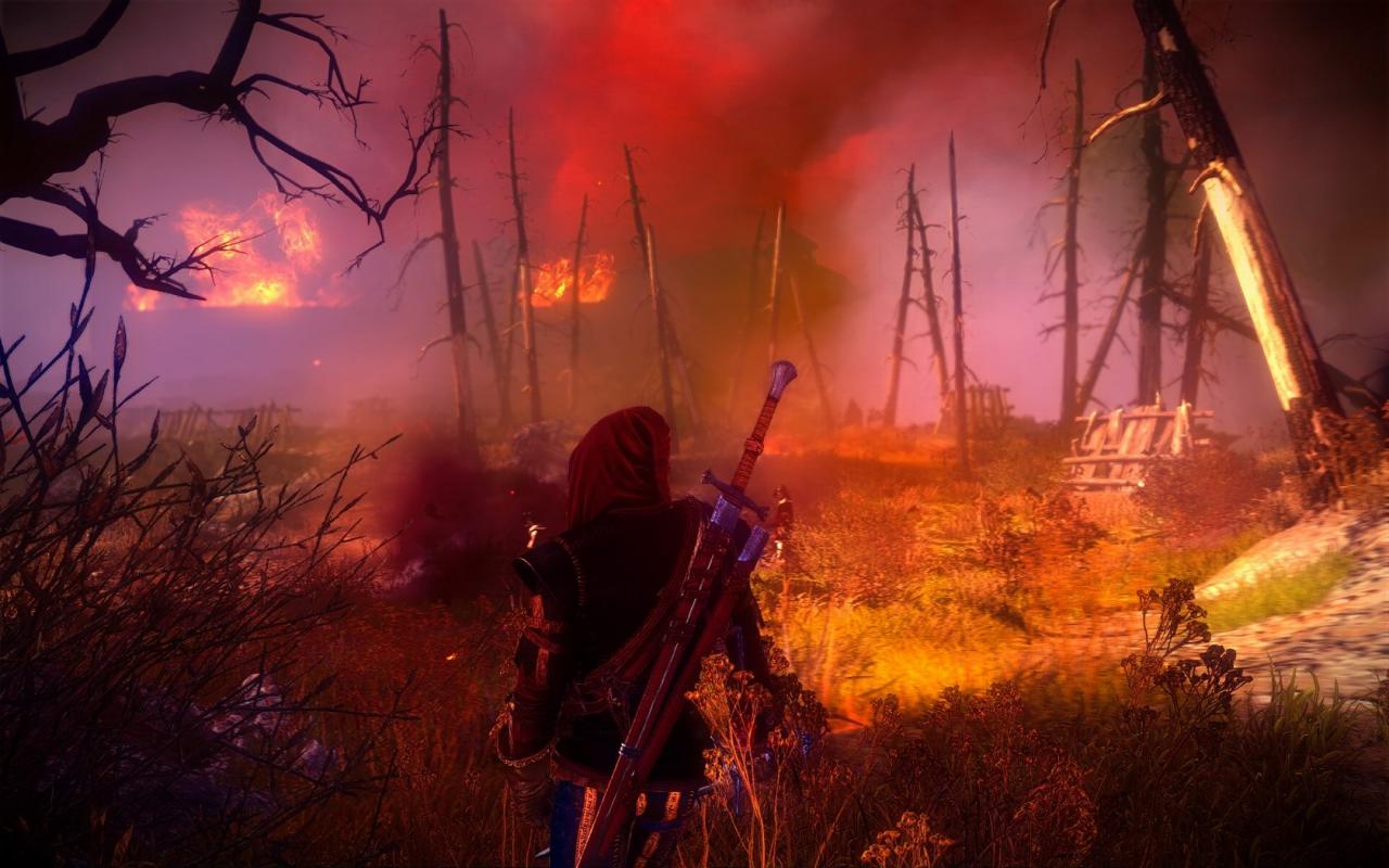 [09/01/2012] Witcher 2 by Ion (1)