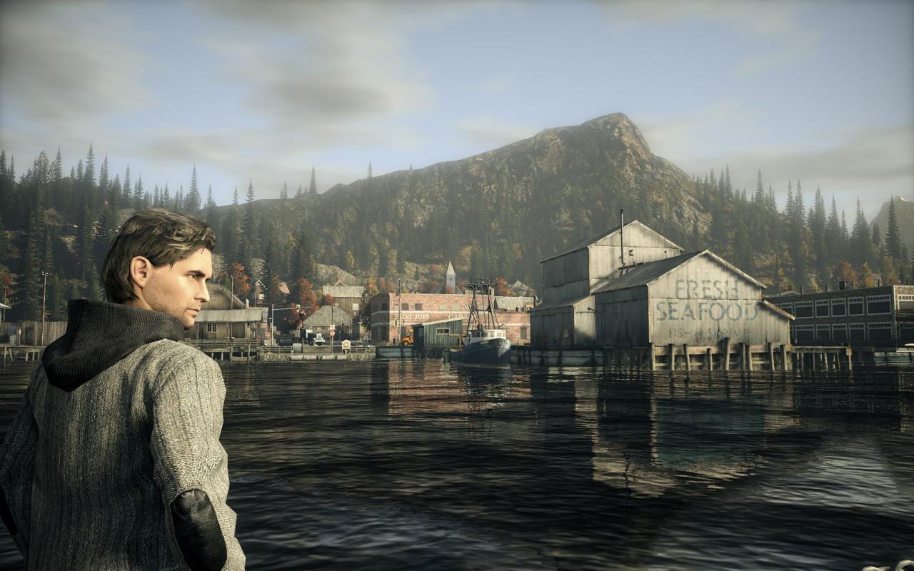 [17/02/2012] Alan Wake PC by DennisK4 (1)