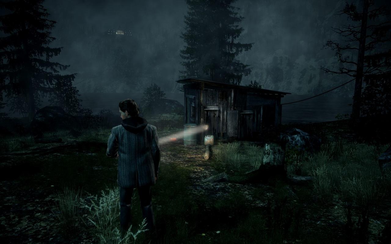 [17/02/2012] Alan Wake by derFeef (1)