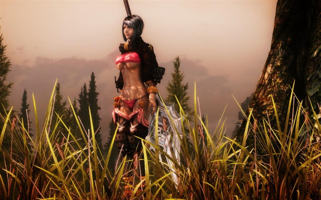 [26/02/2012] Final Fantasy in Skyrim von far327 (9)