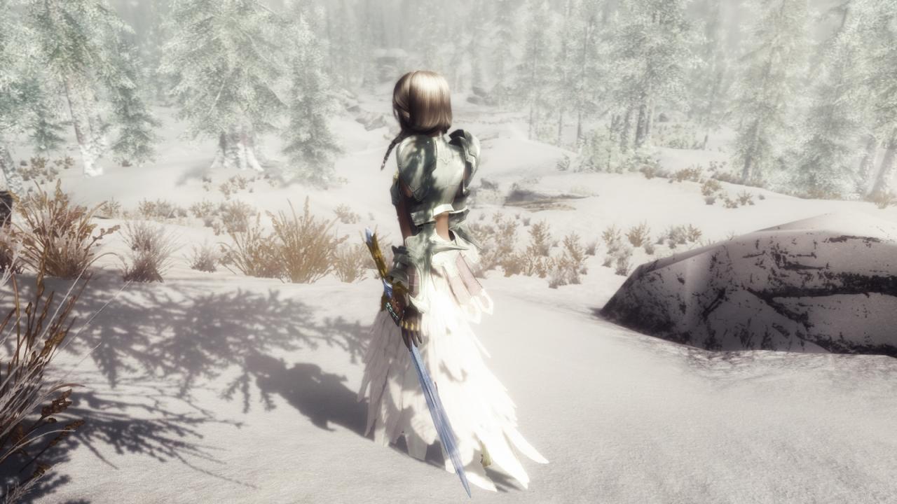 [25/02/2012] Aus The Elder Scrolls 5: Skyrim lässt sich mit Mods noch so manches grafisch beeindruckende Details herauskitzeln. (2)