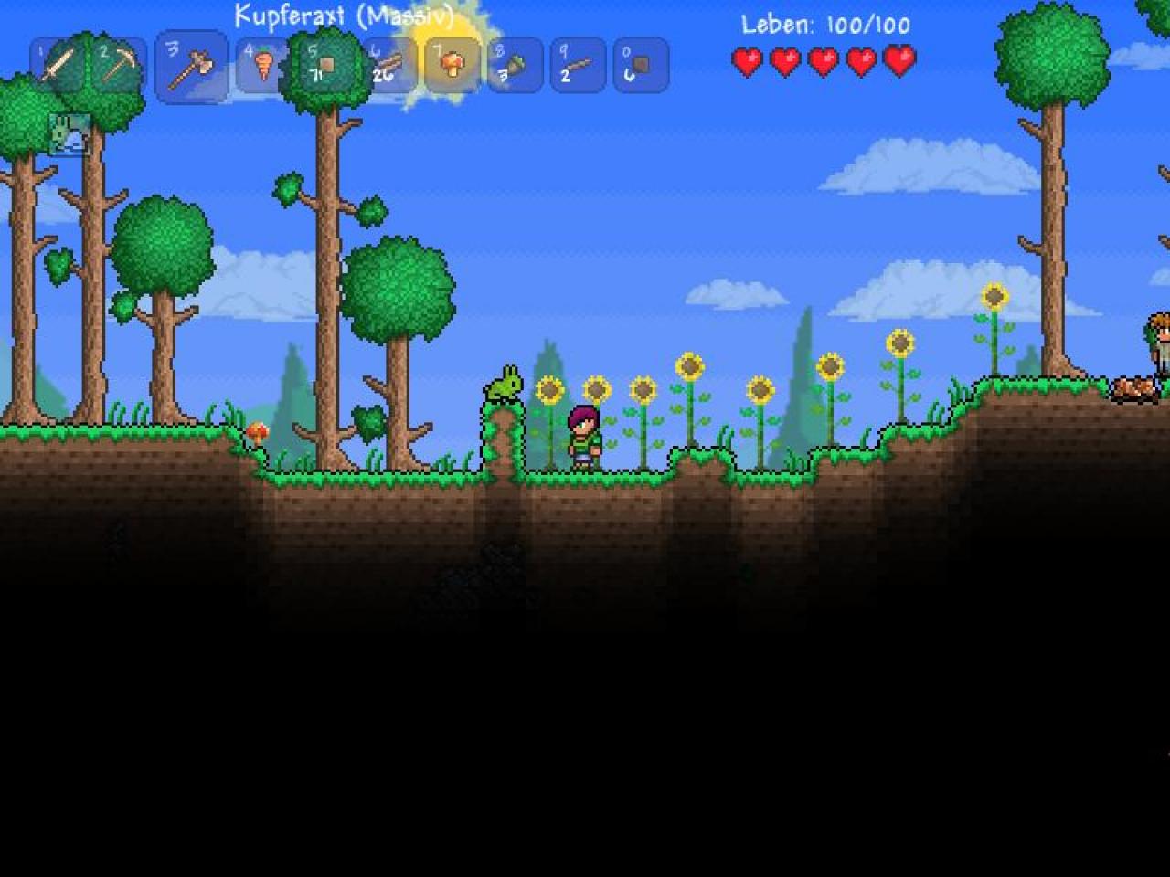 [01/02/2012] Terraria (2011)Hier heißt es: 