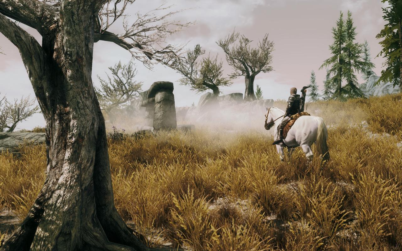 [25/02/2012] The Elder Scrolls 5 Skyrim im erneuten Test: 22 Grafikkarten und 22 CPUs mit Grafik-Mods und aktuellen Treibern (11)
