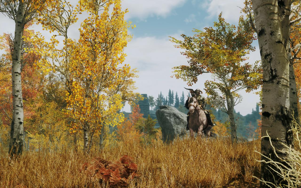 [25/02/2012] The Elder Scrolls 5 Skyrim im erneuten Test: 22 Grafikkarten und 22 CPUs mit Grafik-Mods und aktuellen Treibern (10)