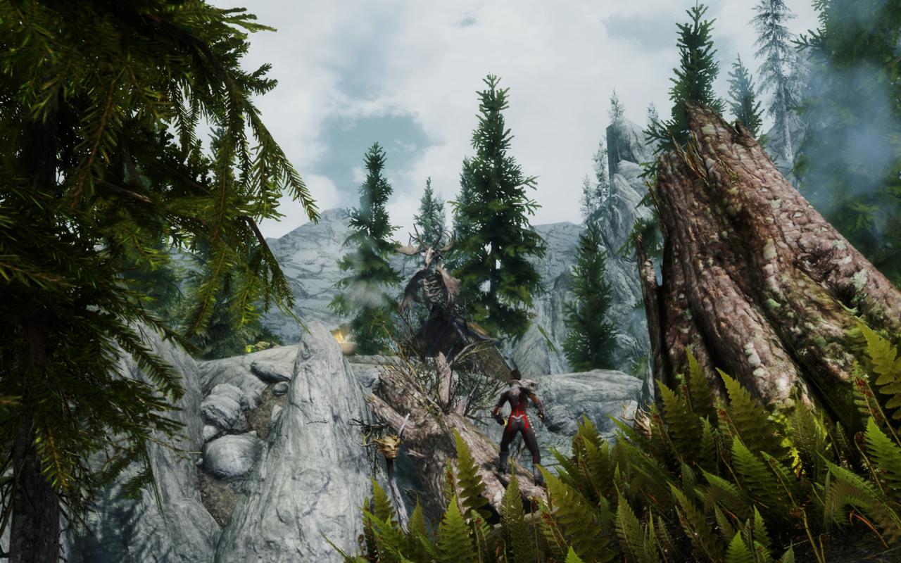 [25/02/2012] The Elder Scrolls 5 Skyrim im erneuten Test: 22 Grafikkarten und 22 CPUs mit Grafik-Mods und aktuellen Treibern (1)