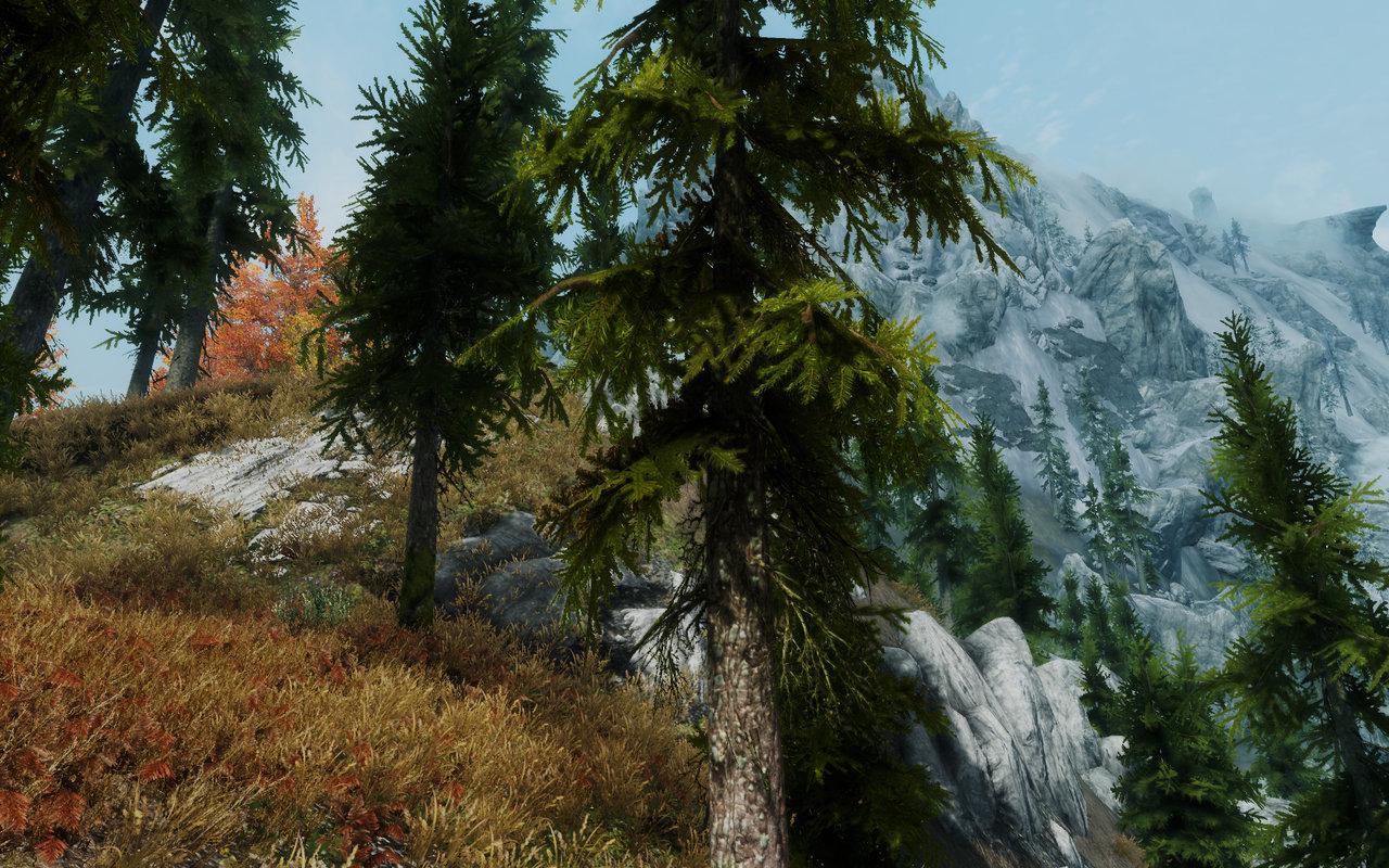 [25/02/2012] Aus The Elder Scrolls 5: Skyrim lässt sich mit Mods noch so manches grafisch beeindruckende Details herauskitzeln. (39)