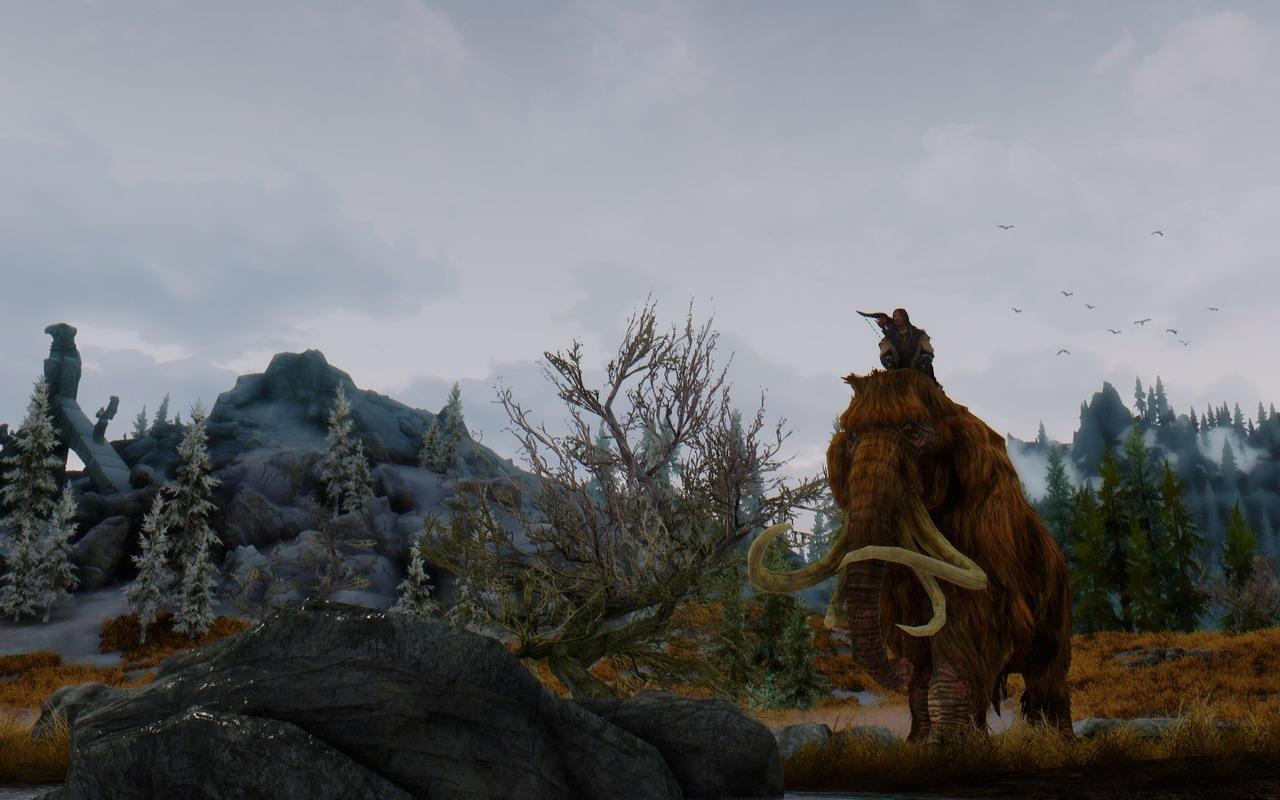 [13/03/2012] The Elder Scrolls 5 Skyrim im erneuten Test: 22 Grafikkarten und 22 CPUs mit Grafik-Mods und aktuellen Treibern (51)