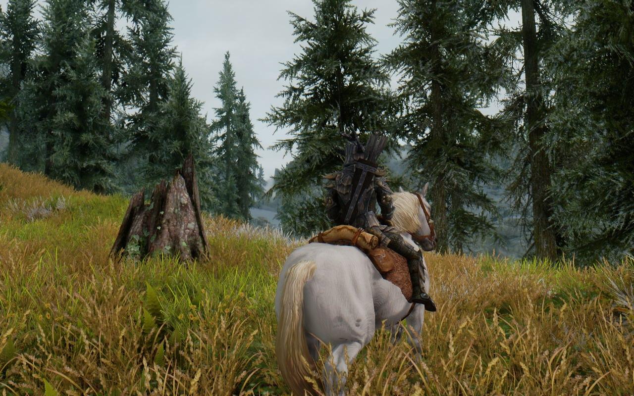 [13/03/2012] The Elder Scrolls 5 Skyrim im erneuten Test: 22 Grafikkarten und 22 CPUs mit Grafik-Mods und aktuellen Treibern (38)