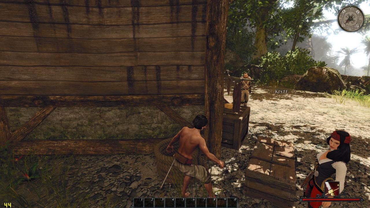 [08/03/2012] Weitere Impressionen aus Risen 2 - Dark Waters