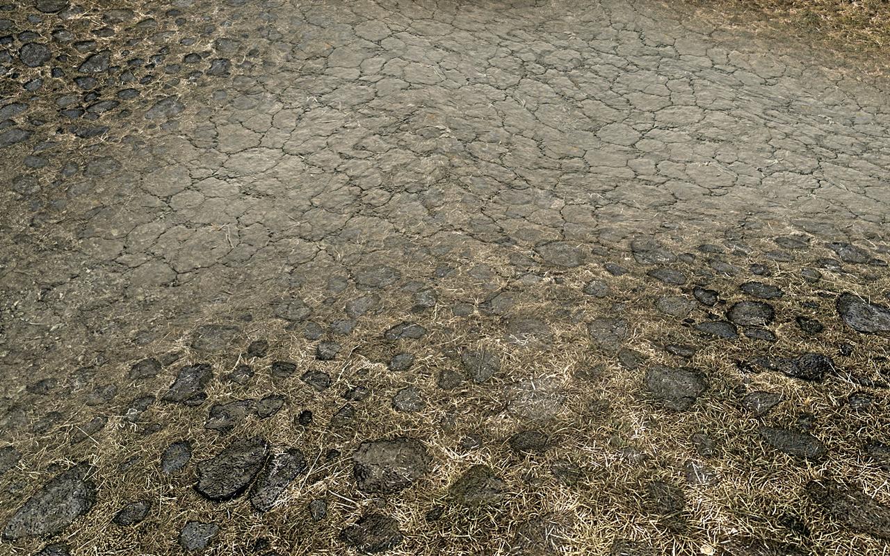 [31/03/2012] The Elder Scrolls 5 Skyrim: Standard- vs. Hi-Res-Texturen vs. Realistic-Overhaul-Mod (16)