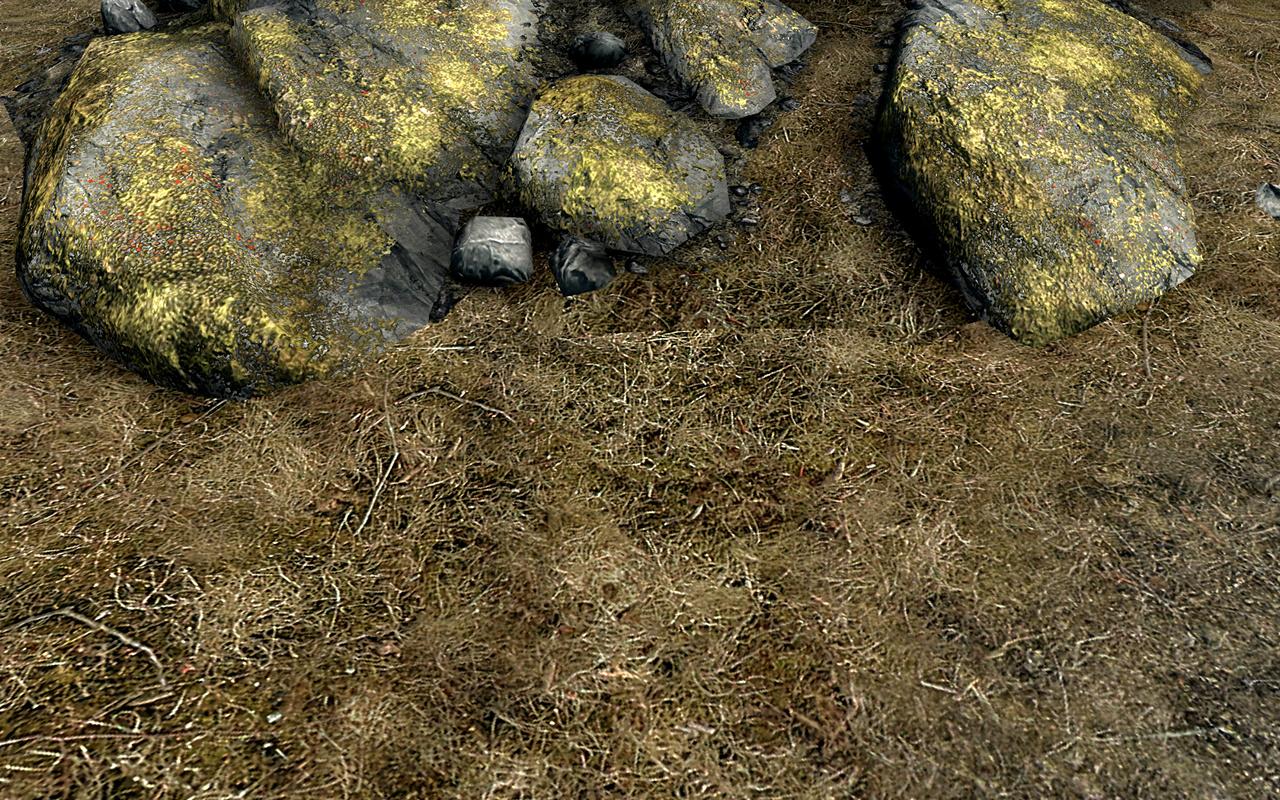 [31/03/2012] The Elder Scrolls 5 Skyrim: Standard- vs. Hi-Res-Texturen vs. Realistic-Overhaul-Mod (17)