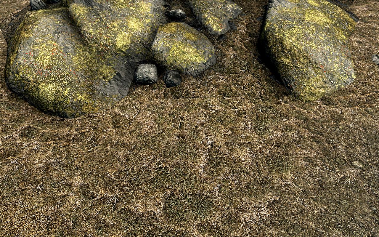 [31/03/2012] The Elder Scrolls 5 Skyrim: Standard- vs. Hi-Res-Texturen vs. Realistic-Overhaul-Mod (18)