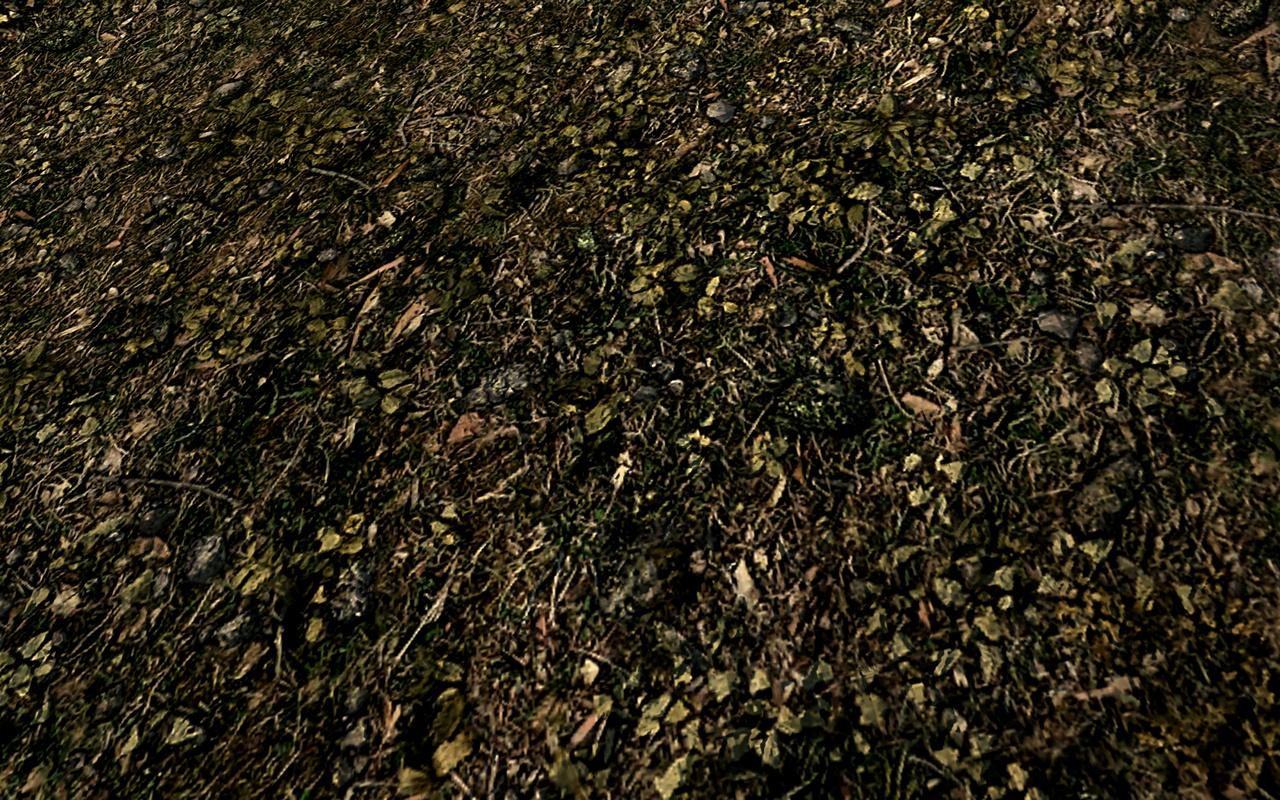 [31/03/2012] The Elder Scrolls 5 Skyrim: Standard- vs. Hi-Res-Texturen vs. Realistic-Overhaul-Mod (4)