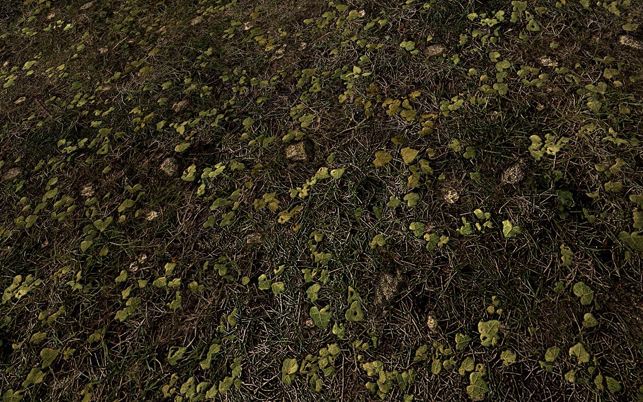 [31/03/2012] The Elder Scrolls 5 Skyrim: Standard- vs. Hi-Res-Texturen vs. Realistic-Overhaul-Mod (5)