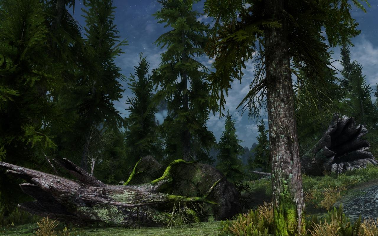 [03/03/2012] The Elder Scrolls 5 Skyrim im erneuten Test: 22 Grafikkarten und 22 CPUs mit Grafik-Mods und aktuellen Treibern (25)