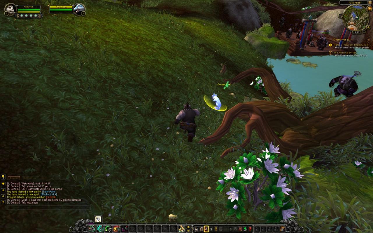 [23/03/2012] Impressionen aus der Beta von World of Warcraft - Mists of Pandaria mit 32xS-Kantenglättung und neuem SSAO (26)