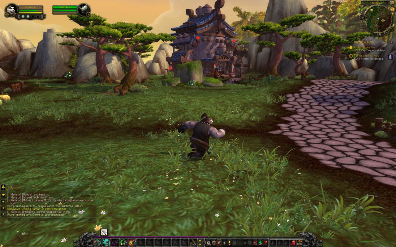 [23/03/2012] Impressionen aus der Beta von World of Warcraft - Mists of Pandaria mit 32xS-Kantenglättung und neuem SSAO (69)