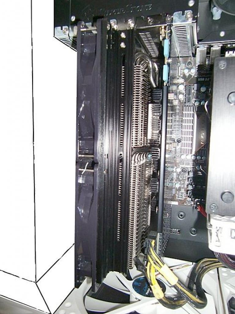 [29/03/2012] Verwandlung eines Silverstone Raven: Aus Schwarz wird Weiß-grau (2)