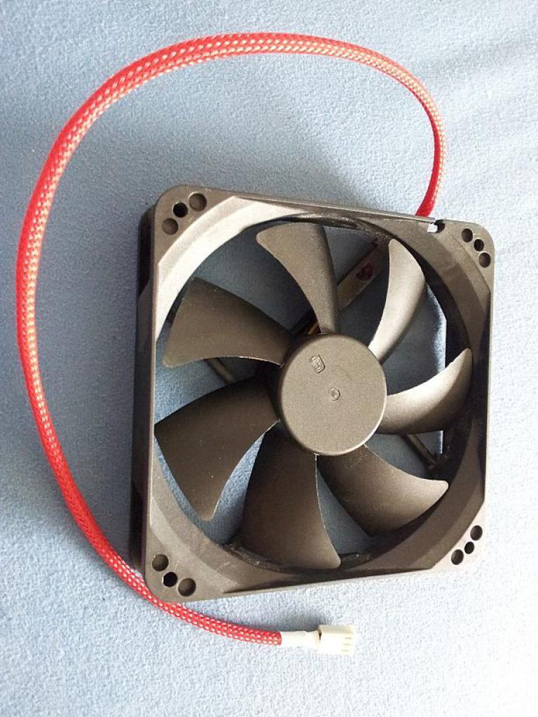 [29/03/2012] Verwandlung eines Silverstone Raven: Aus Schwarz wird Weiß-grau (8)