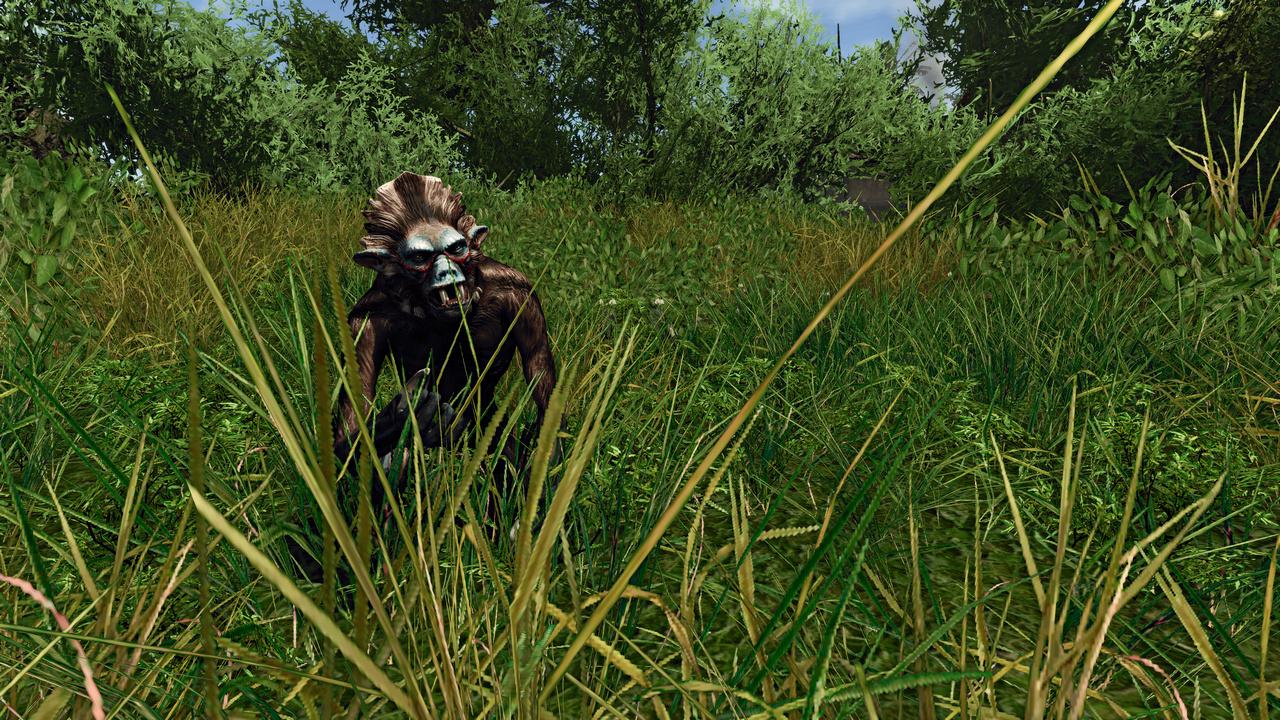 [24/04/2012] Risen 2 - Dark Waters im Technik-Check: Kernskalierung, Grafikkarten-Benchmarks und Tuning Tipps (7)