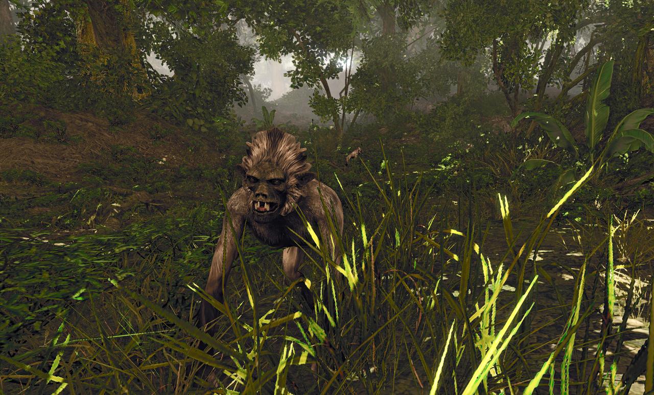 [24/04/2012] Risen 2 - Dark Waters im Technik-Check: Kernskalierung, Grafikkarten-Benchmarks und Tuning Tipps (29)
