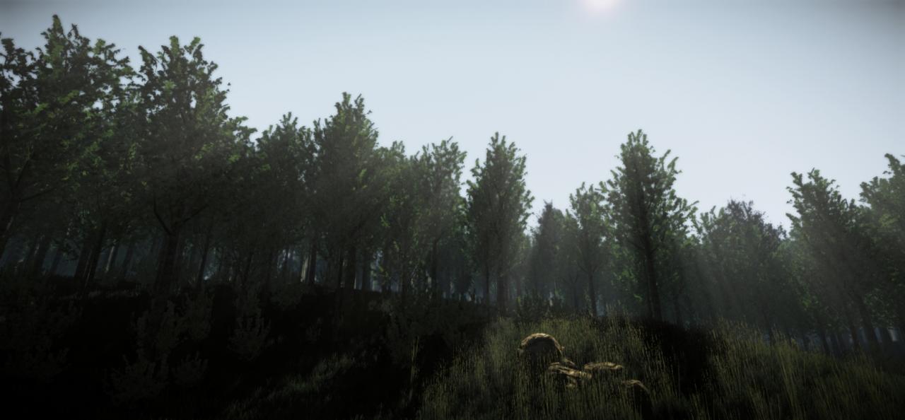 [03/04/2012] Crysis 2: Beeindruckende Vegetations-Mod (5)