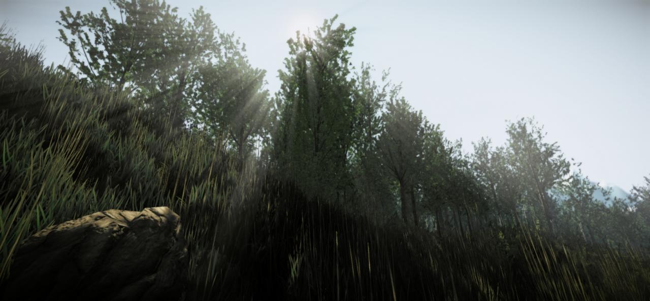[03/04/2012] Crysis 2: Beeindruckende Vegetations-Mod (8)