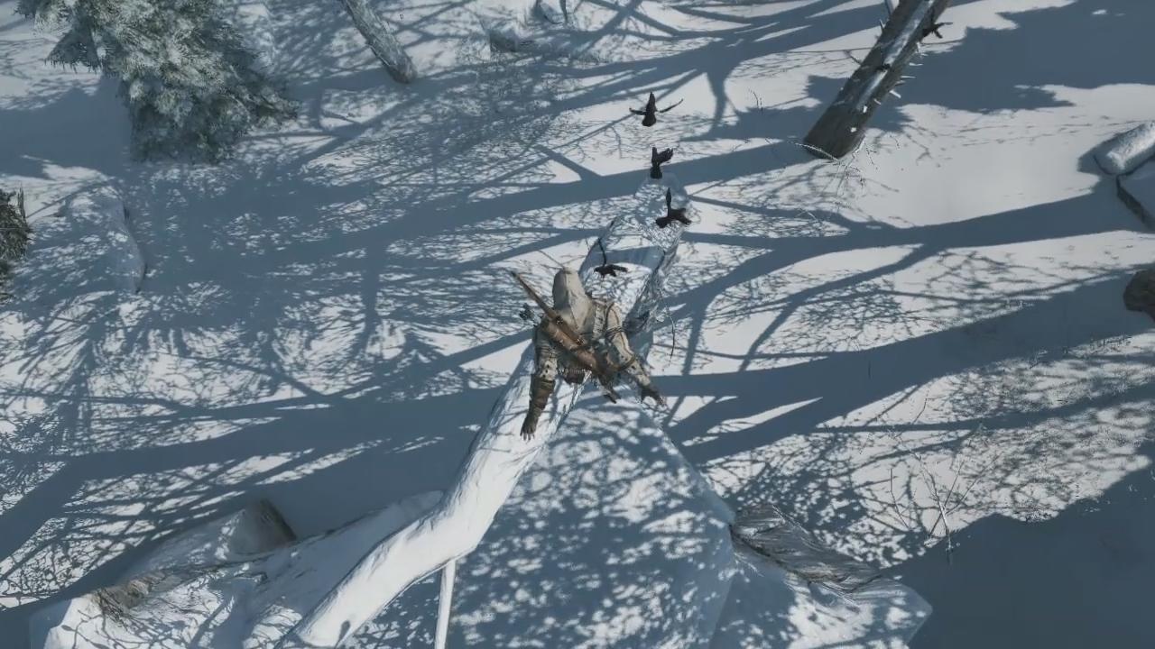 [10/05/2012] Gamescom 2012: Assassin's Creed 3 - Schöne Seeschlachten mit DX11-Optik am PC (41)