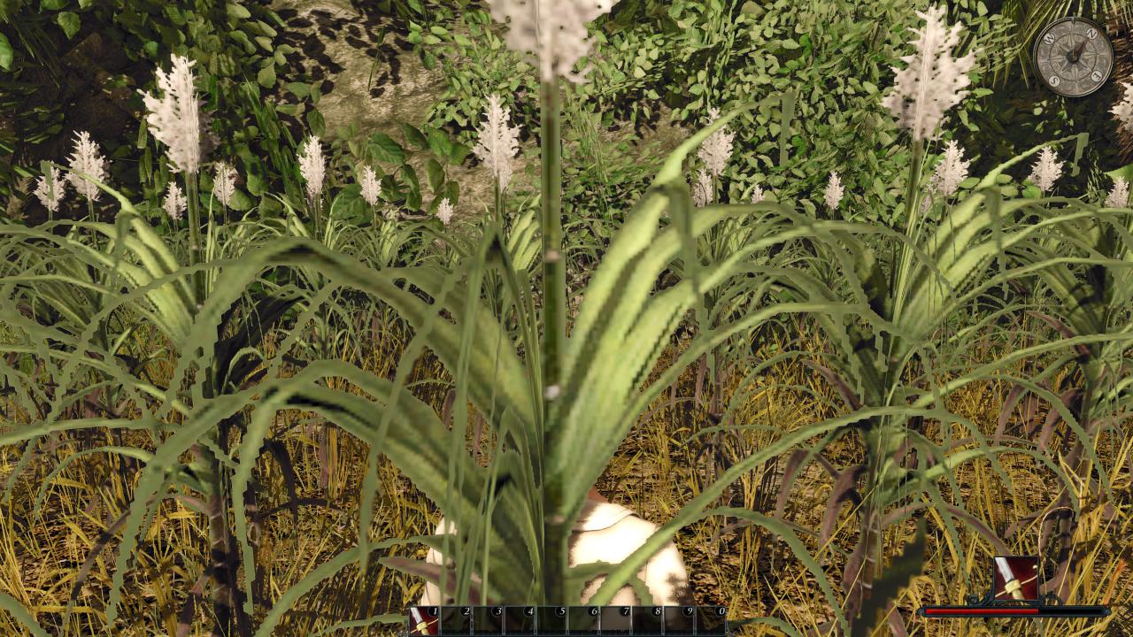 [09/05/2012] Risen 2 Flops: Wenn Gemüse so aussieht, beißt selbst der überzeugteste Vegetarier nicht gern ins Gras.