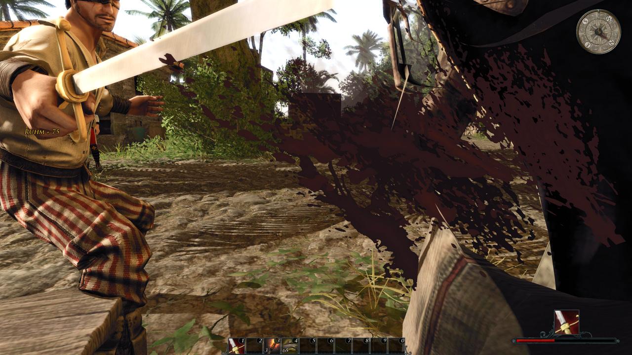 [09/05/2012] Risen 2 Flops: Falls Sie's nicht erkennen, das soll Blut darstellen. Und das Loch im Kontrahenten ist ein ungewollter Clipping-Fehler.