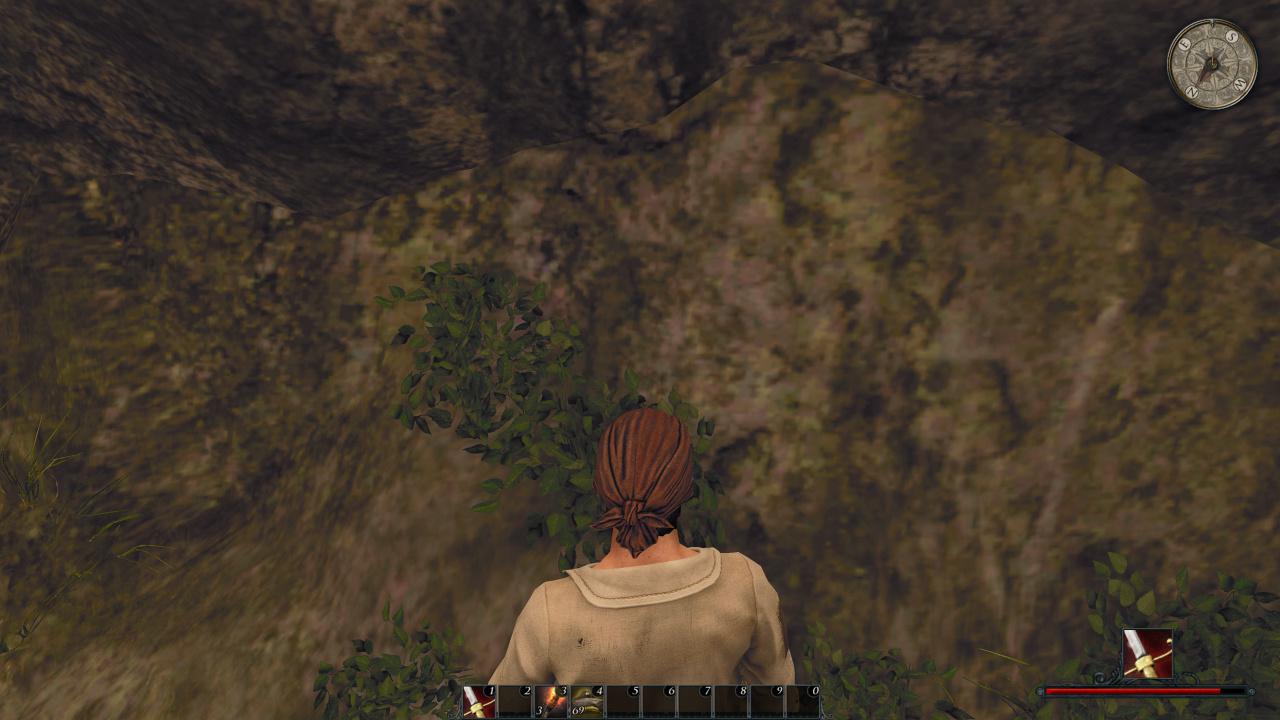 [09/05/2012] Risen 2 Flops: Weil's so unschön war, präsentieren wir noch eine Textur aus Gothic 1. Oder Gothic 2, wer weiß?
