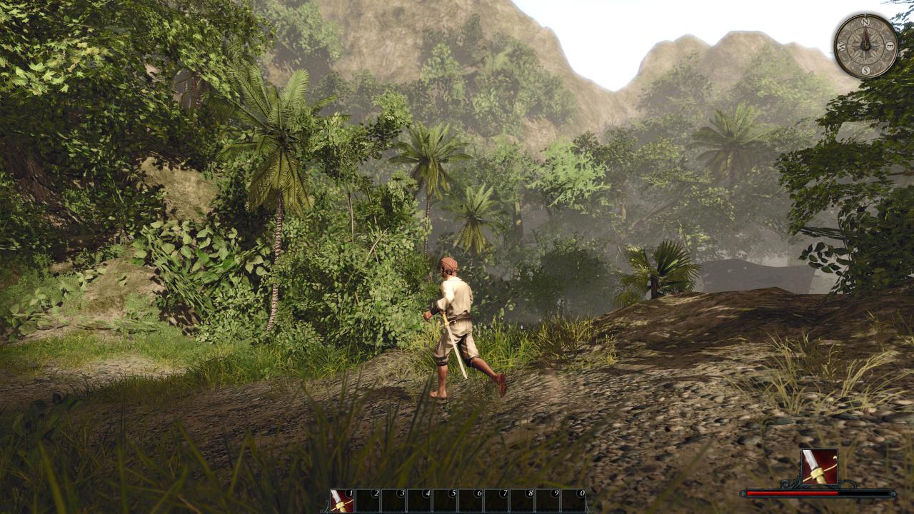 [09/05/2012] Risen 2 Tops: Dichter Urwald glaubhaft und hübsch.