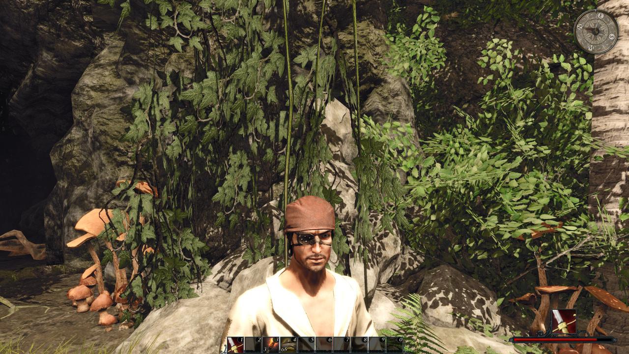 [09/05/2012] Risen 2 Tops: Alphatest-Flora in Hübsch - ja, das gibt's in Risen 2.