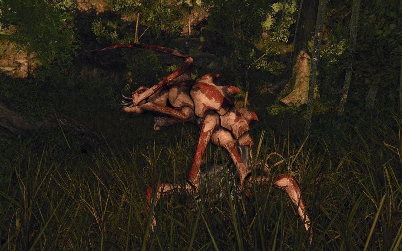[07/05/2012] Risen 2: 1680x1050@1400x875 by BlackF0g (15)