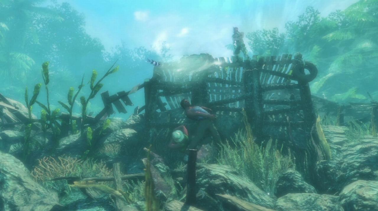 [06/06/2012] Far Cry 3: Kommentierter Coop-Trailer gibt spannende Einblicke (14)