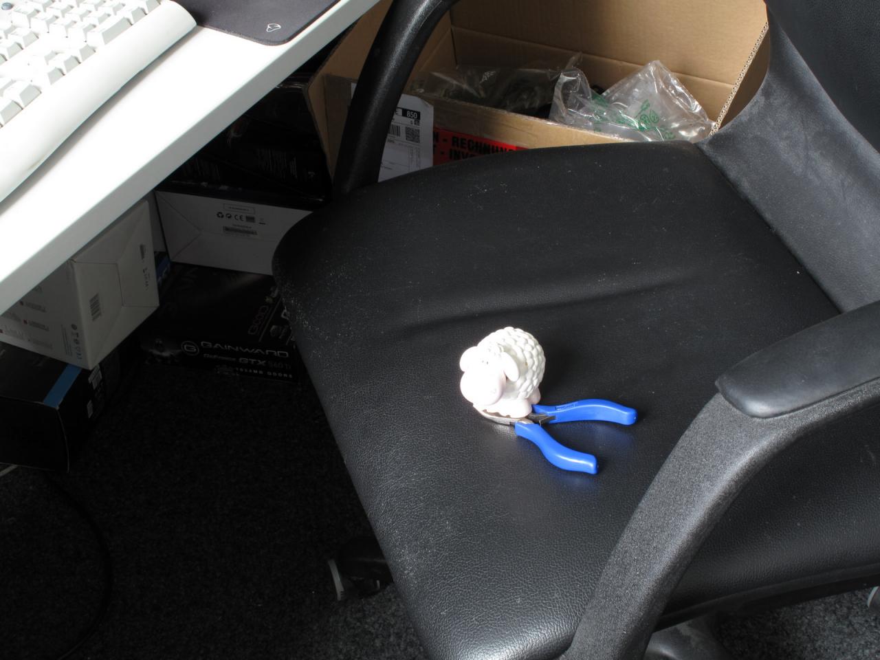 [01/06/2012] Während Daniels Deichschaf brav die Stellung am Arbeitsplatz hält, ist sein Herrchen im hohen Norden, trifft dessen Verwandten und lässt sich eine steife Brise um die Nase wehen. Wir wünschen: Gute Erholung, Herr Möllendorf! 