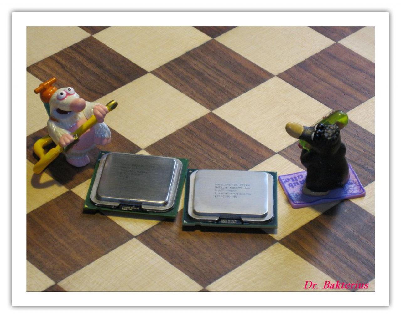[08/06/2012] CPUs zersägt im Rasterelektronenmikroskop, geköpft, flambiert und in der Schusslinie (14)