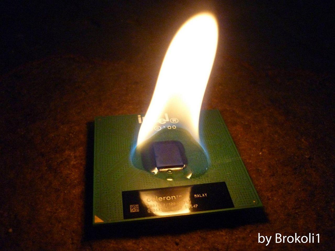 [08/06/2012] CPUs zersägt im Rasterelektronenmikroskop, geköpft, flambiert und in der Schusslinie (4)