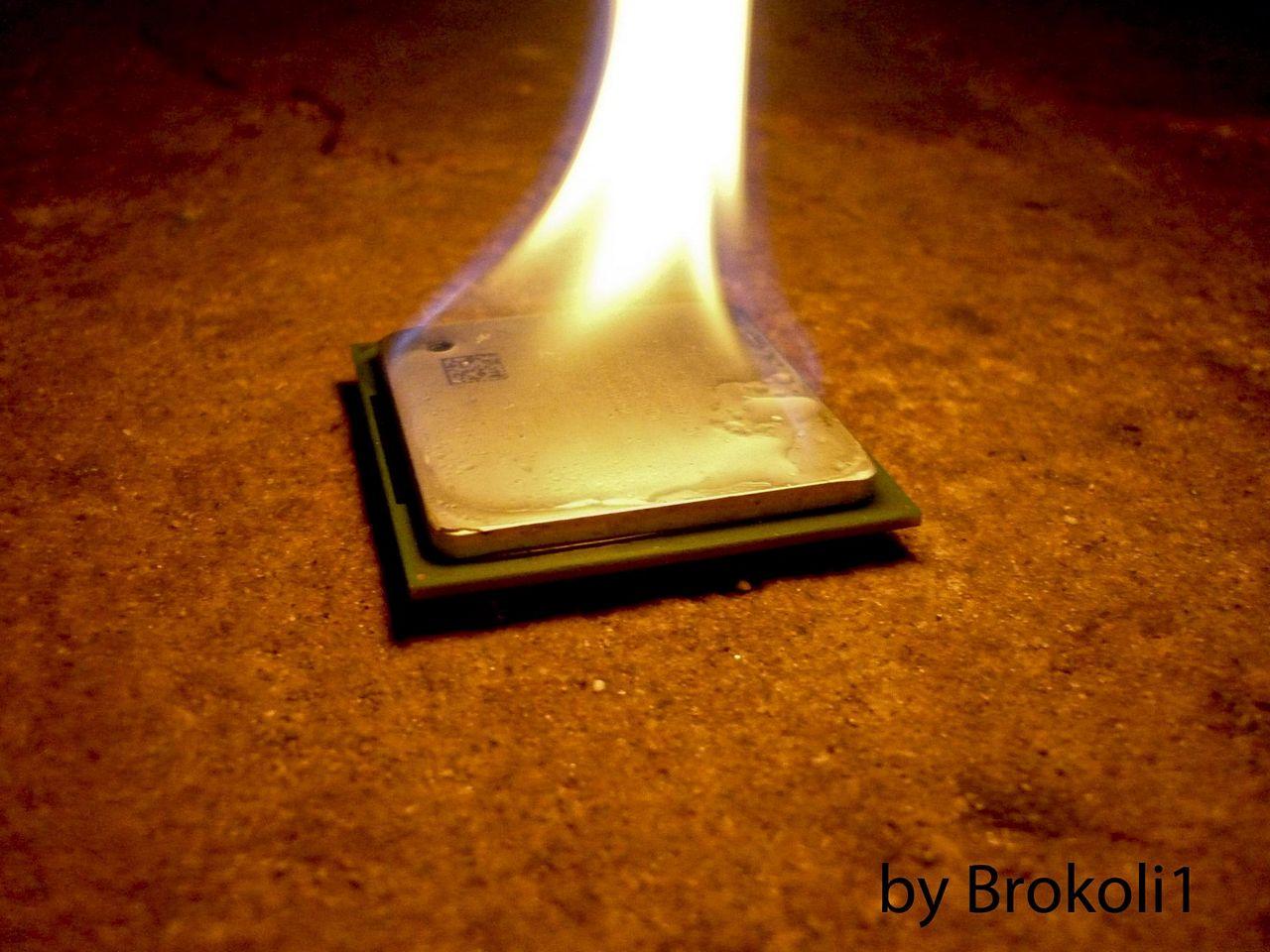 [08/06/2012] CPUs zersägt im Rasterelektronenmikroskop, geköpft, flambiert und in der Schusslinie (2)