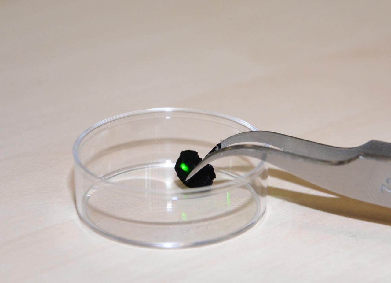 [19/07/2012] Aerographit: Leichtestes Material der Welt vorgestellt (6)