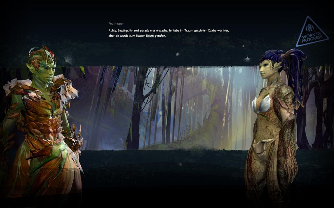 [23/07/2012] Guild Wars 2: Die Startgebiete der fünf Rasse mit Downsampling im Überblick (22)